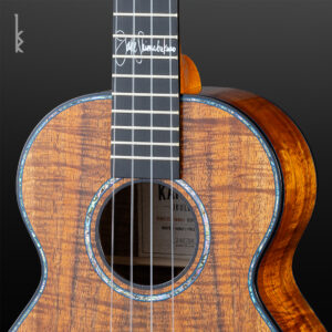 Closeup of Jake Shimabukuro Ukulele