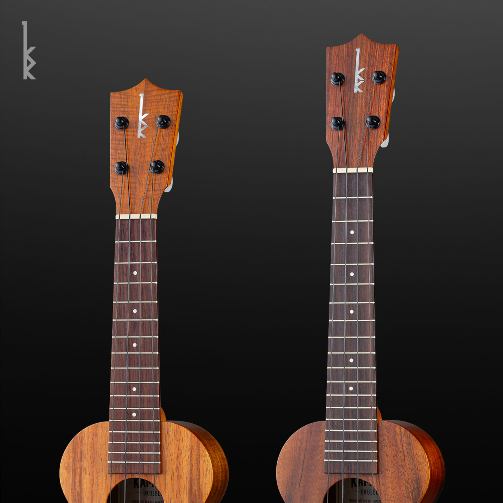 Soprano Pineapple 4-String Long Neck Option